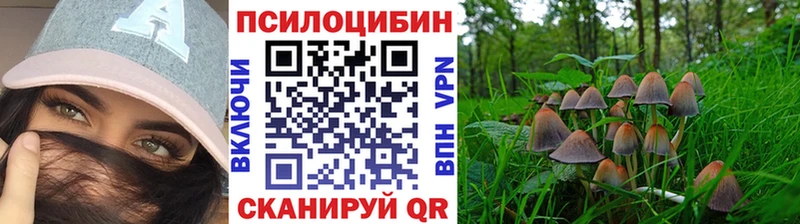 наркота  Котельниково  Галлюциногенные грибы Cubensis 